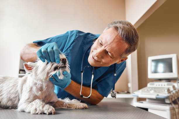 Best Emergency Root Canal Treatment in Linwood, PA